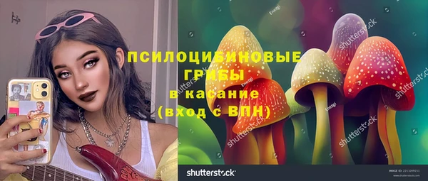 гидропоника Алексеевка